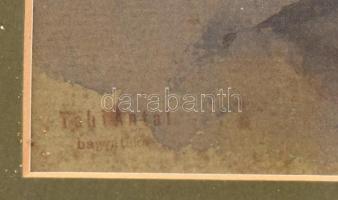 Tahi Antal (1855-1902): Női portré. Ceruza, akvarell, papír. Hagyatéki pecséttel jelzett. Dekoratív ...