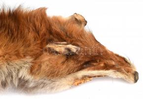 Rókabőr, kikészítve, kissé hulló szőrrel, h: 130 cm