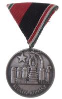 ~1970-1980. Kiváló Kohász ezüstpatinázott Br kitüntetés, mellszalagon T:2,2-