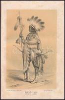 Xántus János levelei Éjszakamerikából. Tizenkét eredeti rajzok után készült kő- és egynéhány fametsz...