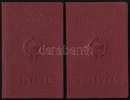 1963 Magyar Népköztársaság által kiállított 2 db útlevél házaspár részére