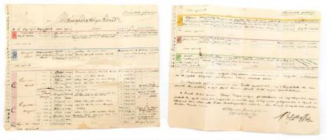 1921 Ménes főkönyvi kivonat báró Lipthay Béla aláírásával a Lipthay birtok lóállományának leírásával a lovak részletes adataival, tenyésztésük céljával. Két íven. 42x38 cm