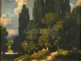 Olvashatatlan jelzéssel, feltehetően a XX. sz. elején működött festő alkotása: Napfényes táj. Olaj, fa. Dekoratív, historizáló keretben, 20,5×27,5 cm