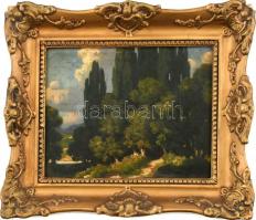 Olvashatatlan jelzéssel, feltehetően a XX. sz. elején működött festő alkotása: Napfényes táj. Olaj, ...