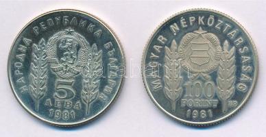1981. 100Ft Cu-Ni-Zn + 5L Cu-Ni-Zn "Bulgária 1300 éves" magyar-bolgár közös kiadás, eredet...