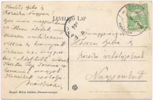 1906 Felsővisó, Viseu de Sus (Máramaros); vasér vízesés / Vaser River waterfall