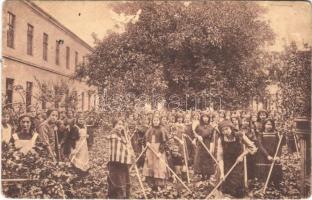 1914 Temesvár, Timisoara; Józsefváros, Iskola Nővérek Intézete, gazdasági részlet, lányok kerti munka közben / girl school, Iosefin, girls during garden work (EB)