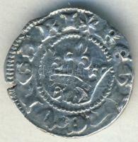 1382-95. Denár Ag ÉH. 442a variáns "UNGARI" (E) hiányzik! T:3