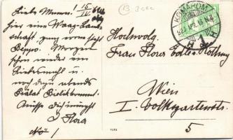 1926 Komárom, Komárnó; faúsztatás a Dunán / timber transport by rafting on river Danube. photo