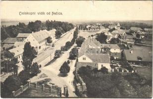 1910 Nekcse, Nasice; Cielokupni vidik / main street / utca (fa)