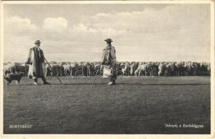 1930 Juhnyáj a Hortobágyon, magyar folklór / Hungarian folklore (EK)