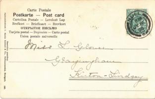 1904 Flower with bees. Farbenlichtdruck v. Martin Rommel & Co