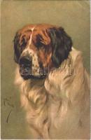 1929 Bernhardiner dog (EK)
