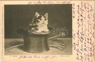 1913 Schau, schau! / Cat in the magicians hat. Fr. A. Ackermann Kunstverlag Künstlerpostkarte No. 458. s: A. Dreher (EK)