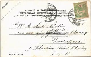 1906 Landscape art postcard. B.K.W.I. 911-6. (EK)