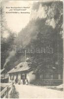 Schottwien am Semmering, hans Baumgartner's Gasthof "zur Weinzettlwand" / restaurant, hotel