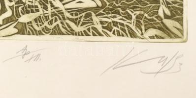 Kass János (1927-2010): Cantata. Rézkarc, papír, jelzett. Művészpéldány AP XII. számozással. Üvegeze...