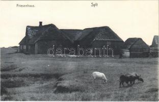 Sylt, Friesenhaus / farmhouse