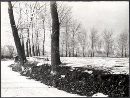 cca 1950-1970 Vegyes város- és tájképek (Pozsony, Budapest-Lánchíd, stb.), 9 db fotó, 18x13 cm és 21...