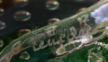 Cenedese jelzéssel muranói üveg madár, anyagában színezett, kis kopásnyomokkal, m: 23,5 cm