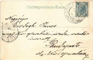 1904 Lázne Jeseník, Gräfenberg bei Freiwaldau (Jeseník, Fryvaldov); Ungarisches Denkmal / Hungarian ...