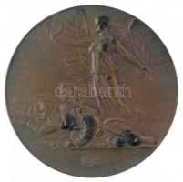 Osztrák-Magyar Monarchia 1914. Ferenc József kétoldalas Br emlékérme, Szign.: Rudolf Neuberger / Arn...