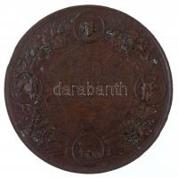 Románia 1881. "I. Károly / Mezőgazdasági és Ipari Díjérem" Br emlékérem. Szign.: W. Kullri...