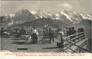 Schynige Platte, Eiger, Mönch und Jungfrau / mountains, telescopes