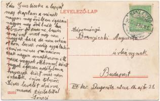 1912 Nagyenyed, Aiud; látkép. Lázár Adolf utóda kiadása / general view (fl)