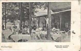 1905 Budapest II. Hűvösvölgy, Balázs-féle vendéglő kerthelyisége vendégekkel és pincérekkel (szakadás / tear)
