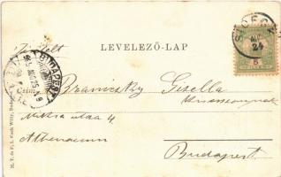 1905 Siófok, Sió részlet, híd. M.T. és F.I. Koch Willy (fl)