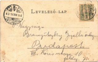 1904 Debrecen, látkép a zsinagógával (fl)