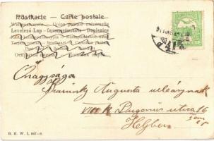 1903 Lady with parrot. B.K.W.I. 667-6. litho (EK)