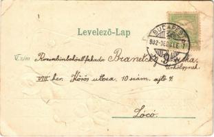 1902 Újévi üdvözlet / New Year greeting art postcard with clovers. Art Nouveau, Emb. litho (EB)