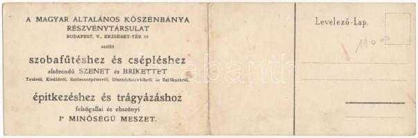 Tatabánya, Magyar Általános Kőszénbánya Részvénytársulat szénbányájának metszete, brikettgyár. Bruch...