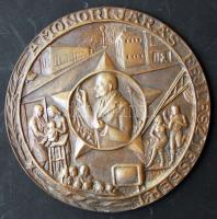 Cca 1970-es évek "A Monori járás fejlesztéséért" extrém nagyalakú Br plakett T:1 Eredeti d...