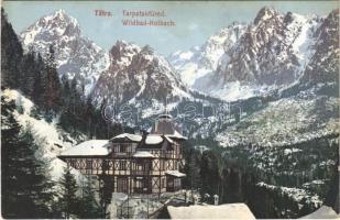 Tátra, Vysoké Tatry; Tarpatakfüred télen. Cattarino S. kiadása 233. 1907. / Kohlbachtal in winter