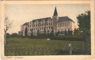 Léva, Levice; gimnázium / grammar school  (EK)