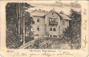 1903 Modor-Harmónia, Modor, Modra; Erzsébet Villa (EB)