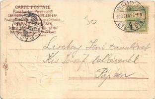 1903 Monkey barbershop. Emb. litho (EK)