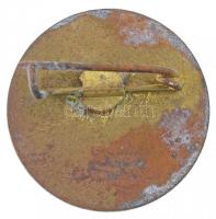 ~1970-1980. "Önkéntes Rendőri Szolgálatért"  5 éves szolgálat után, műgyantás jelvény T:1-...