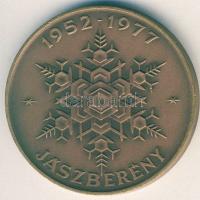 1977. "25 éves a hűtőgépgyár-Jászberény" Br emlékérem T:1 + "Hungar Hotels-Hotel Tisz...