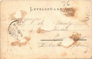 1903 Szászrégen, Reghin; Ansicht vom Ziegenwalde / látkép. Verlag v. Gust. Rösler. Nach Aufnahme v. ...