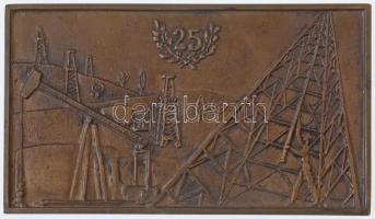 1962. "Barátság Nemzetközi Kőolajvezeték 1962" kétoldalas Br plakett, eredeti tokban (78x1...