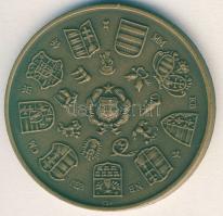 1973. "MÉE" piefort (vastag) Br emlékérem + 1979. "MÉE" Br emlékérem T:2