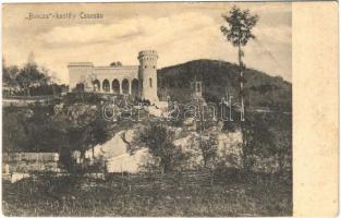 1909 Csucsa, Ciucea; Boncza vár, kastély. Ferenc és társa utóda, Dunky Elek műterméből / castle (fl)