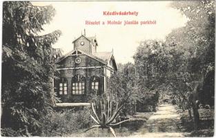 1911 Kézdivásárhely, Targu Secuiesc; Részlet a Molnár Józsiás parkból / park (fl)