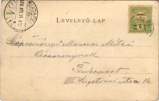 1906 Szentendre, Szent-Endre; Duna part, gőzhajó, úszó hajómalom. Lichtenstein Miksa kiadása (EK)