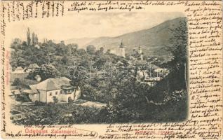 1900 Zalatna, Zlatna; részlet. Nagy Lajos kiadása / general view (EK)