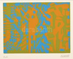 Németh János (1936-): Színes formák. Szitanyomat, papír, jelzett, E.A. művészpéldány, 16x20 cm